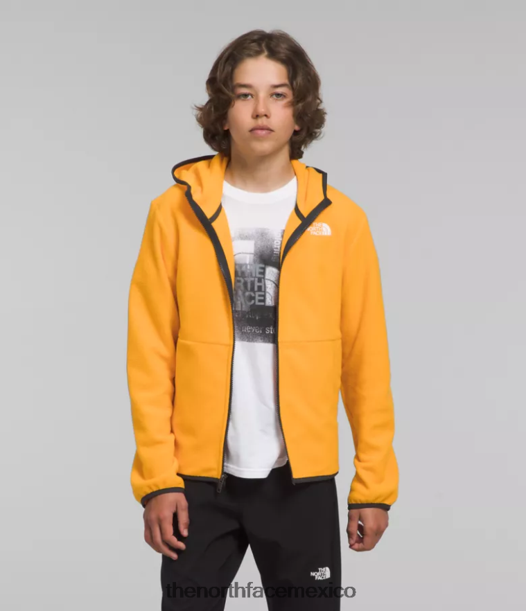 The North Face ropa NFHLJL948 cumbre de oro niños chaqueta con capucha y cierre completo Glacier