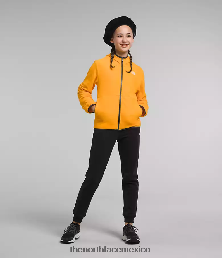 The North Face ropa NFHLJL948 cumbre de oro niños chaqueta con capucha y cierre completo Glacier