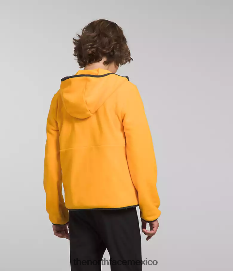 The North Face ropa NFHLJL948 cumbre de oro niños chaqueta con capucha y cierre completo Glacier