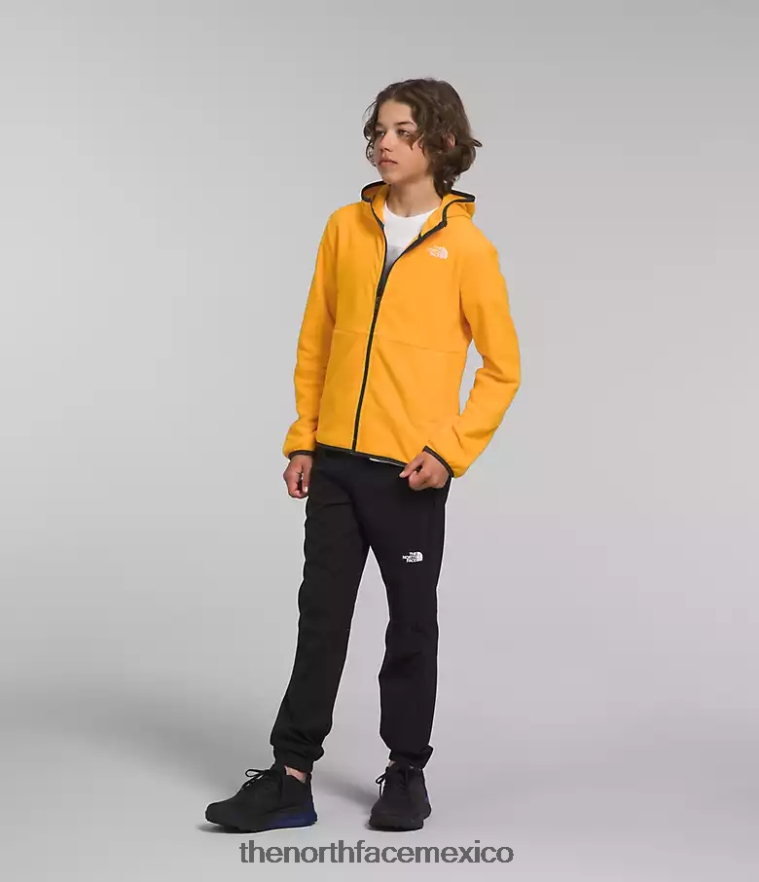 The North Face ropa NFHLJL948 cumbre de oro niños chaqueta con capucha y cierre completo Glacier