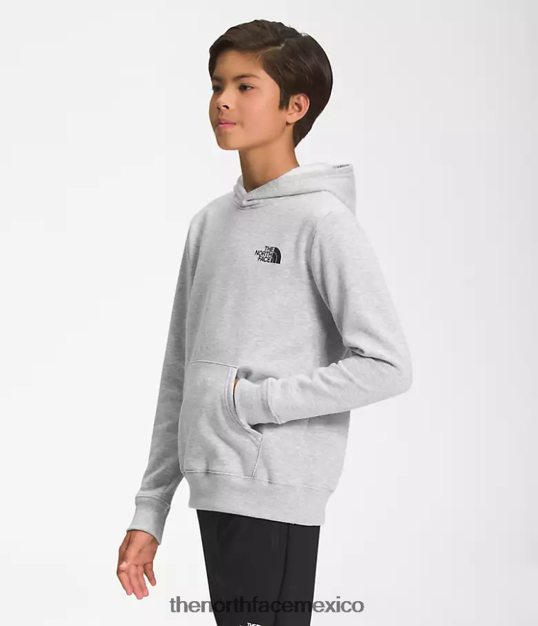 The North Face ropa NFHLJL1102 tnf gris claro jaspeado niños sudadera con capucha de lana de campamento