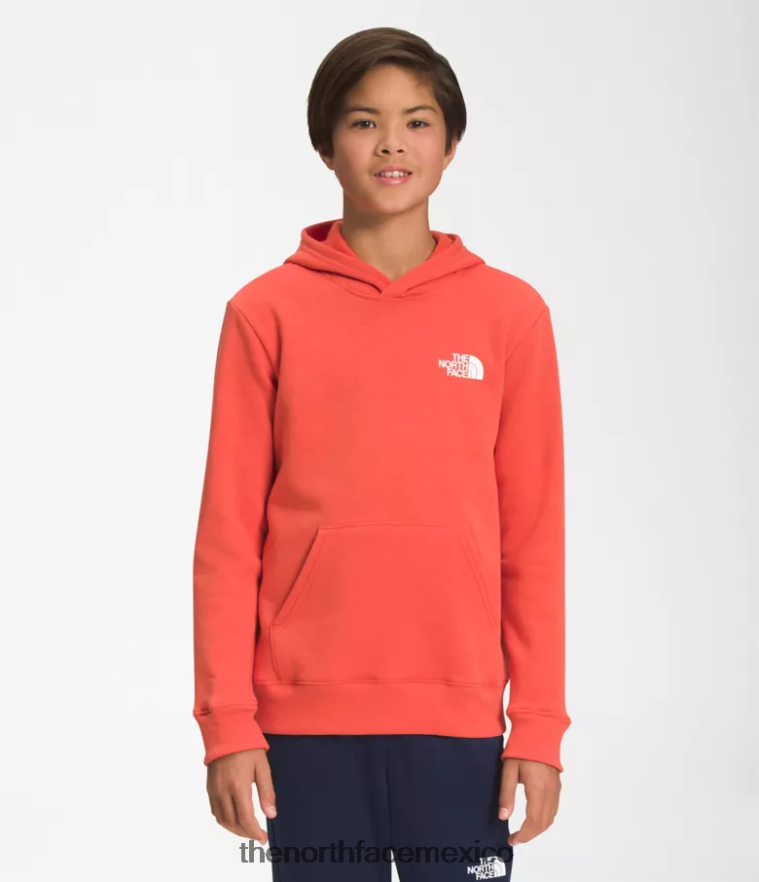 The North Face ropa NFHLJL1105 naranja retra niños sudadera con capucha de lana de campamento