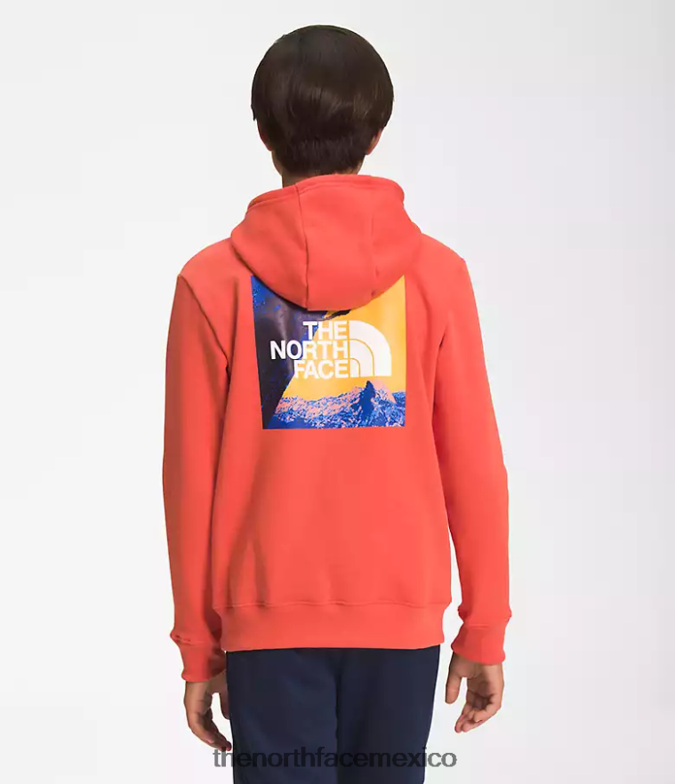 The North Face ropa NFHLJL1105 naranja retra niños sudadera con capucha de lana de campamento