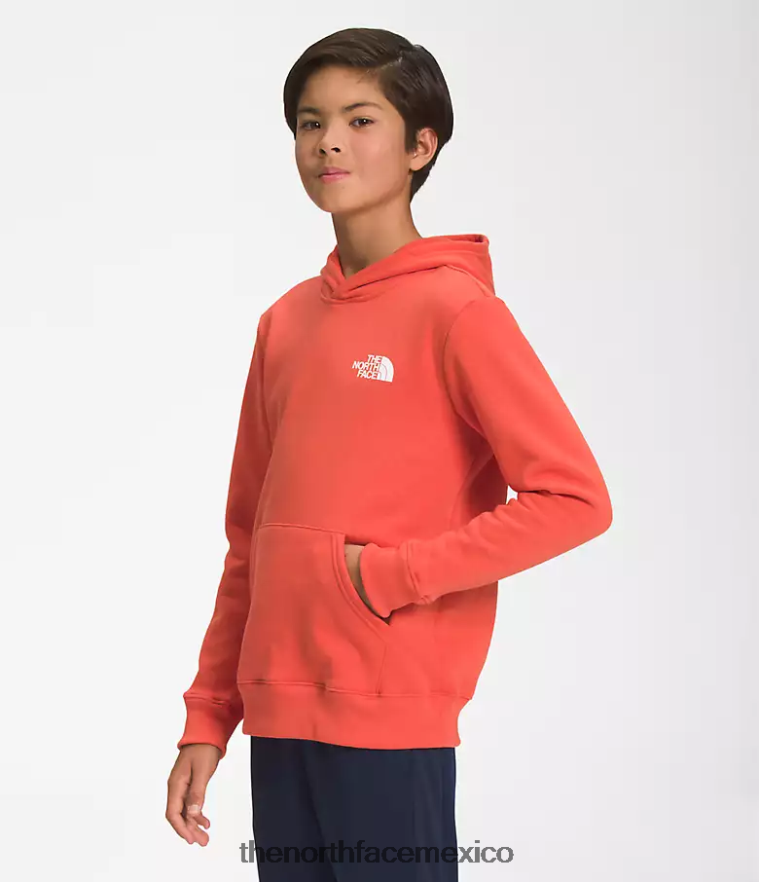 The North Face ropa NFHLJL1105 naranja retra niños sudadera con capucha de lana de campamento