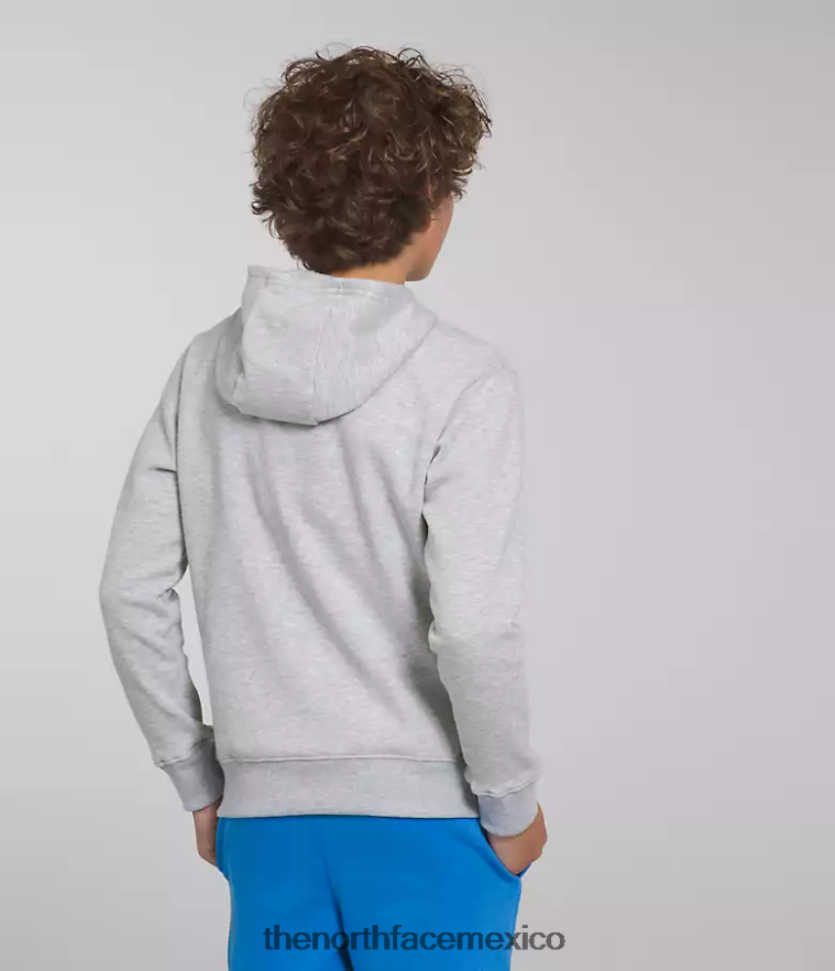 The North Face ropa NFHLJL1108 tnf gris claro jaspeado/azul óptico niños sudadera con capucha de lana de campamento