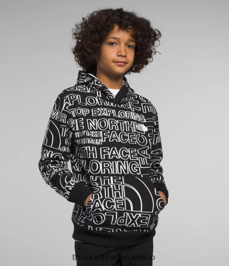 The North Face ropa NFHLJL1109 tnf negro tnf marcador logo estampado niños sudadera con capucha de lana de campamento