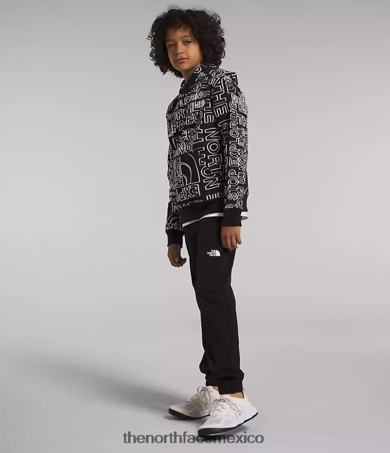 The North Face ropa NFHLJL1109 tnf negro tnf marcador logo estampado niños sudadera con capucha de lana de campamento