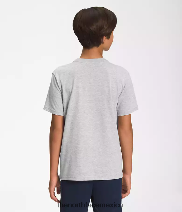 The North Face ropa NFHLJL1057 tnf gris claro jaspeado/led amarillo niños camiseta gráfica de manga corta