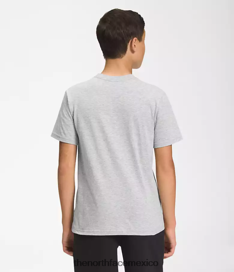The North Face ropa NFHLJL1059 tnf gris claro jaspeado/azul supersónico niños camiseta gráfica de manga corta
