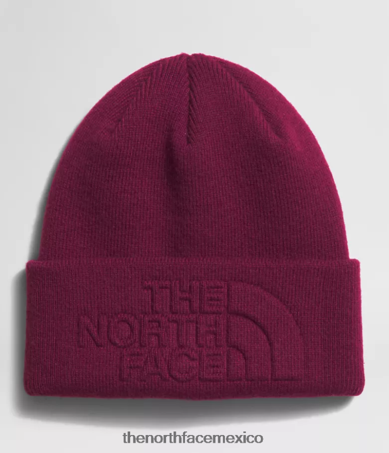 The North Face accesorio NFHLJL1140 arándano unisexo gorro urbano con relieve