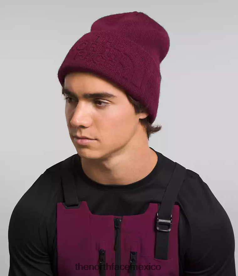 The North Face accesorio NFHLJL1140 arándano unisexo gorro urbano con relieve