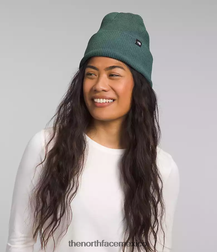 The North Face accesorio NFHLJL561 sabio oscuro unisexo gorro urbano con puños
