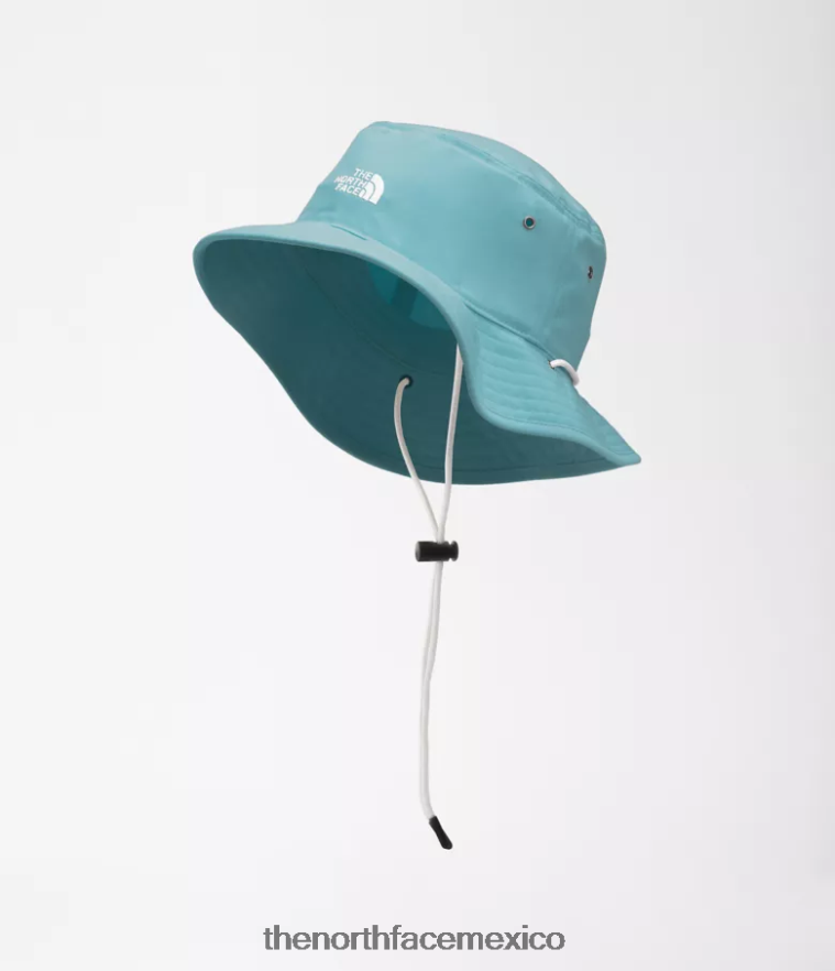 The North Face accesorio NFHLJL68 aguas de arrecife unisexo ala 66 reciclada