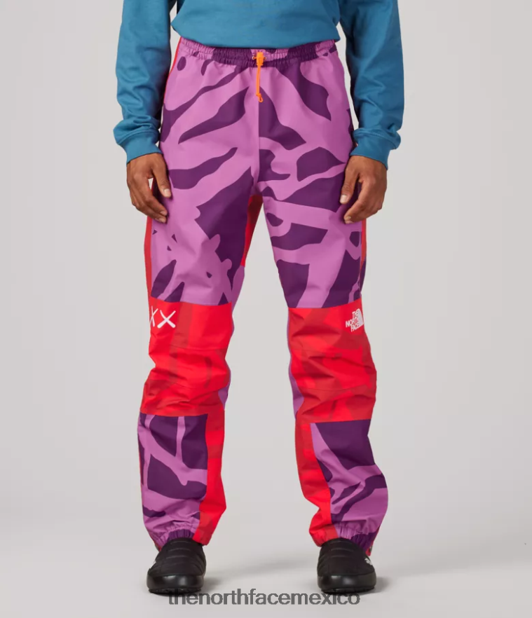 The North Face ropa NFHLJL607 kw pamplona violeta mtn estampado claro unisexo pantalón ligero de montaña tnf x kaws