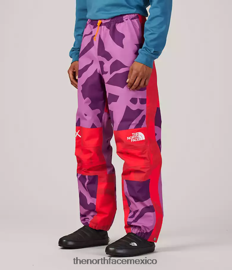 The North Face ropa NFHLJL607 kw pamplona violeta mtn estampado claro unisexo pantalón ligero de montaña tnf x kaws