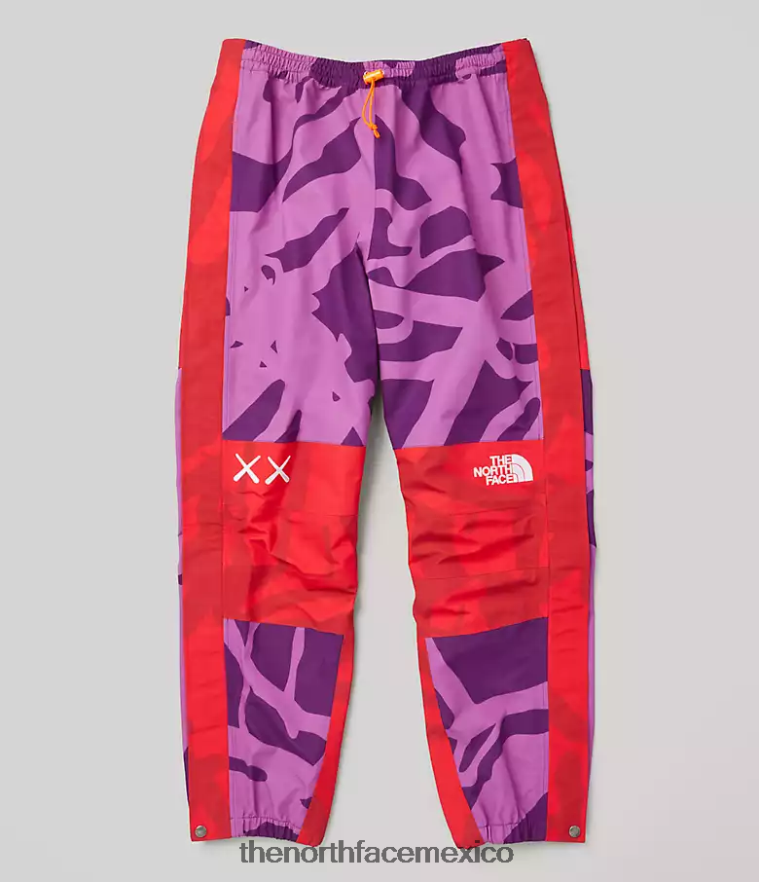 The North Face ropa NFHLJL607 kw pamplona violeta mtn estampado claro unisexo pantalón ligero de montaña tnf x kaws